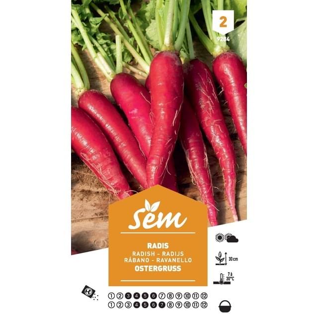 Radis Ostergruss (sachet)