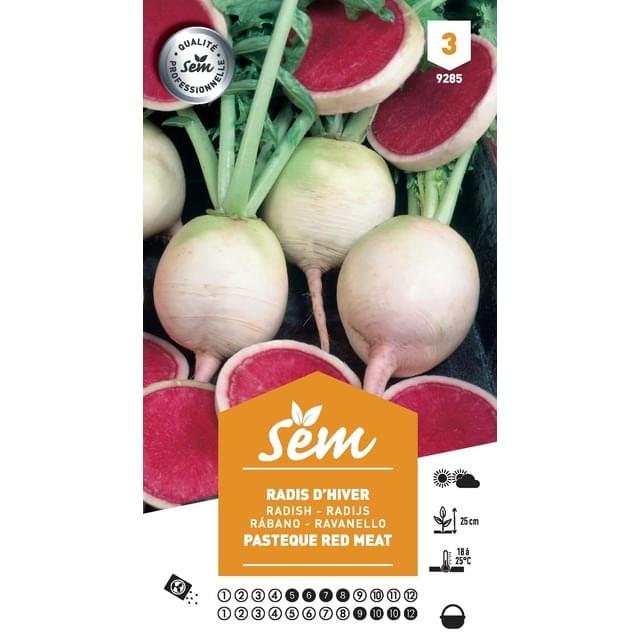 Radis pastèque Red Meat (sachet)