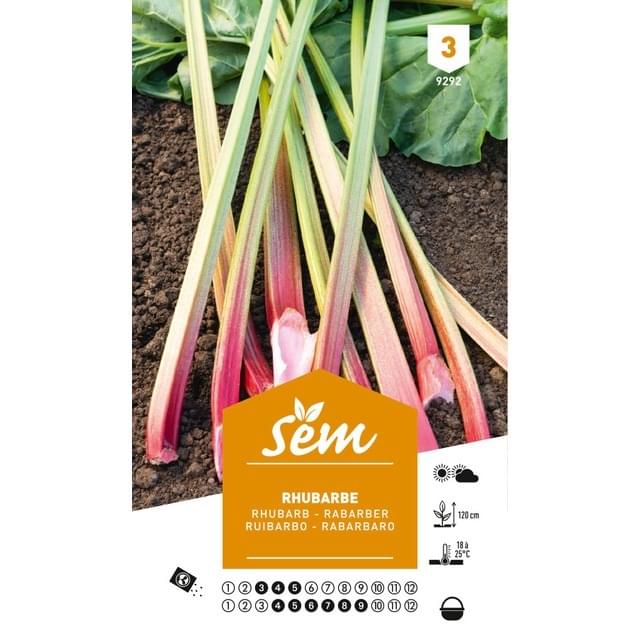 Rhubarbe (sachet)