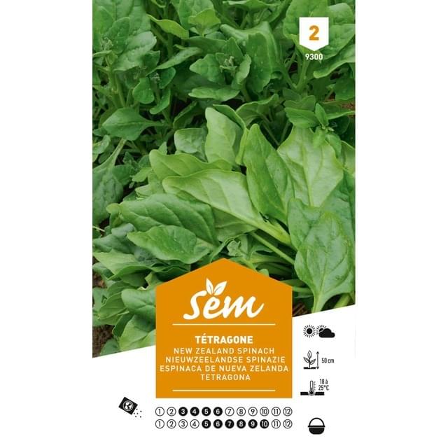 Tétragone (sachet)