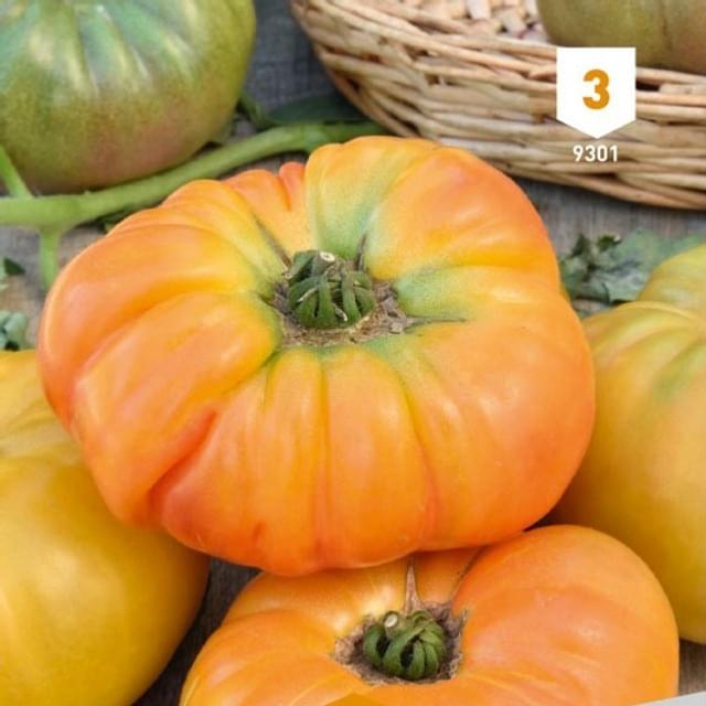 Tomate Ananas