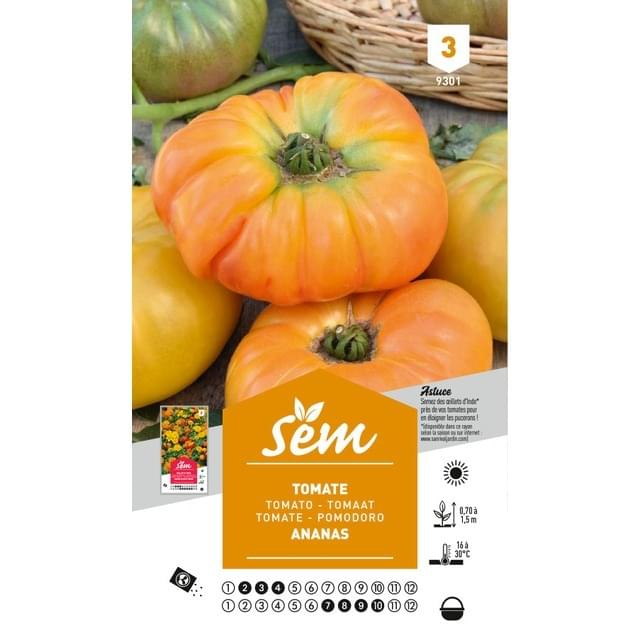 Tomate Ananas (sachet)