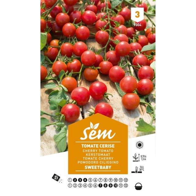 Tomate cerise sweet baby (sachet)