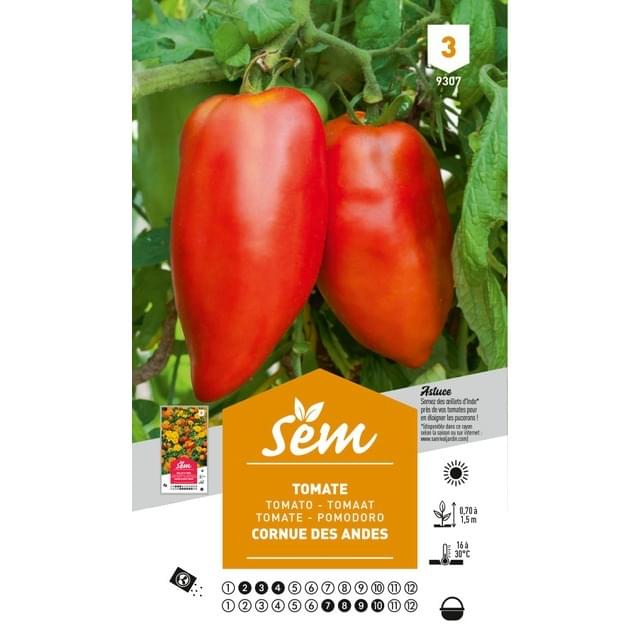 Tomate cornue des Andes (sachet)