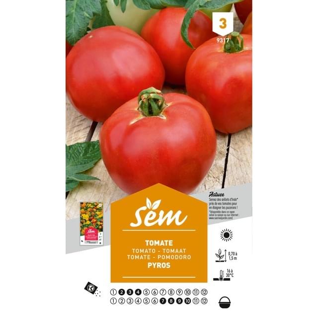 Tomate Pyros (sachet)