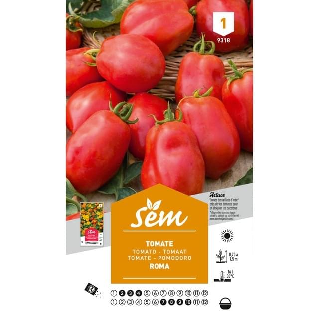 Tomate Roma (sachet)
