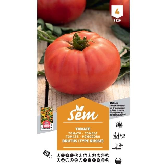 Tomate Brutus F1 (sachet)