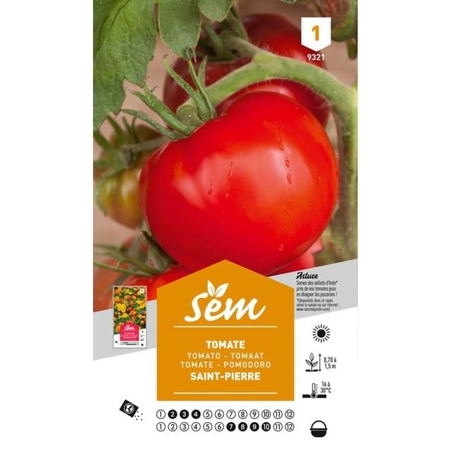 Tomate Saint-Pierre (sachet)