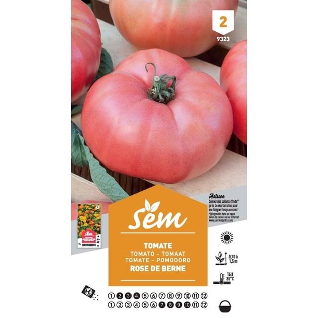 Tomate Rose de Berne (sachet)