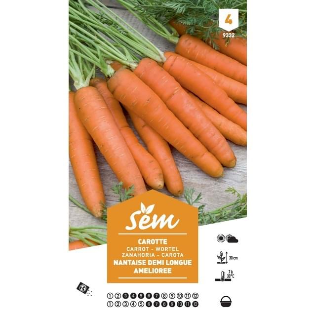 Carotte 1/2 longue Nantaise améliorée XXL (sachet)