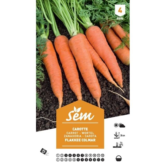 Carotte Flakkee Colmar XXL (sachet)