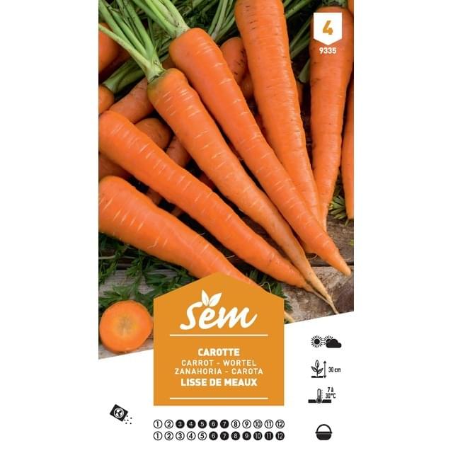 Carotte lisse de Meaux XXL (sachet)