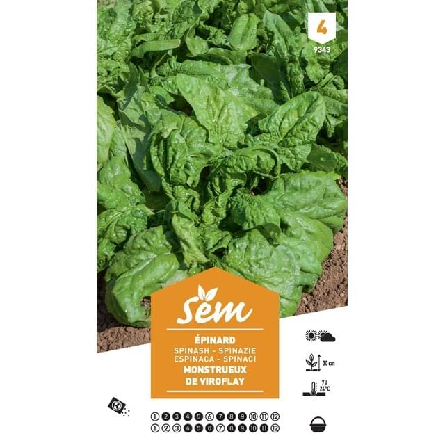 Epinard Monstrueux Viroflay (sachet)