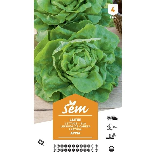Laitue de printemps Appia XXL (sachet)
