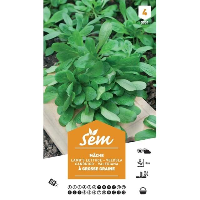 Mâche à grosses graines XXL (sachet)