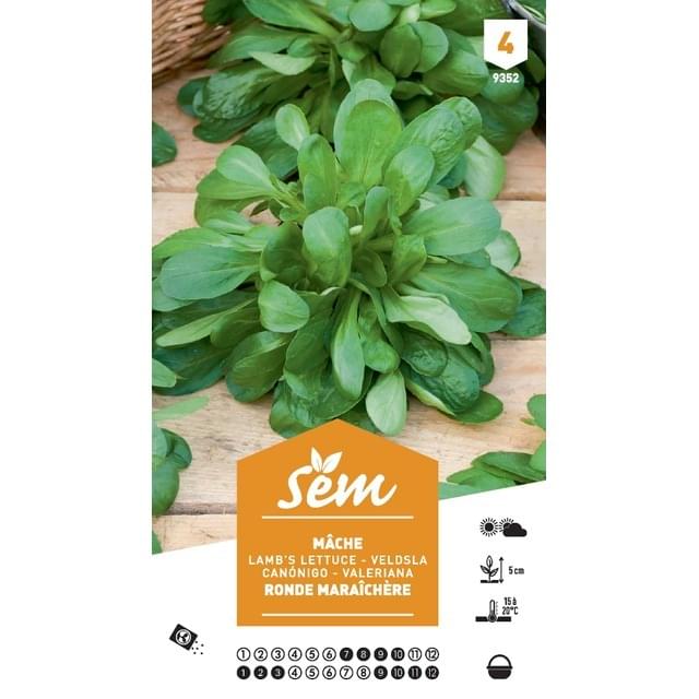 Mâche ronde maraîchère XXL (sachet)