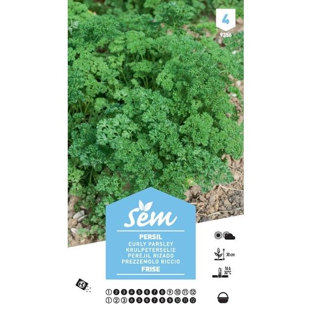 Persil frisé XXL (sachet)