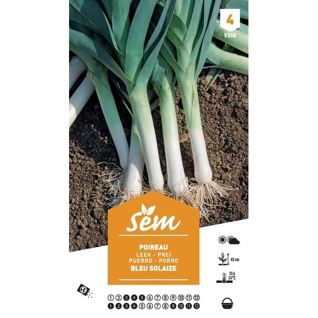 Poireau bleu de Solaize XXL (sachet)