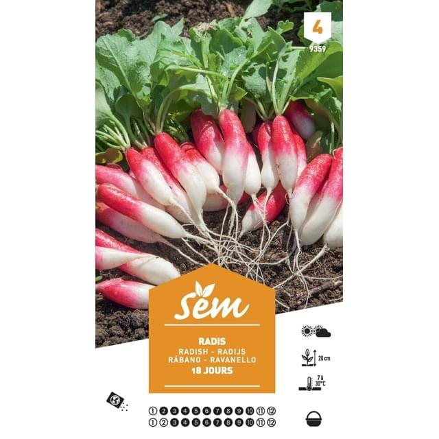 Radis de 18 jours XXL (sachet)