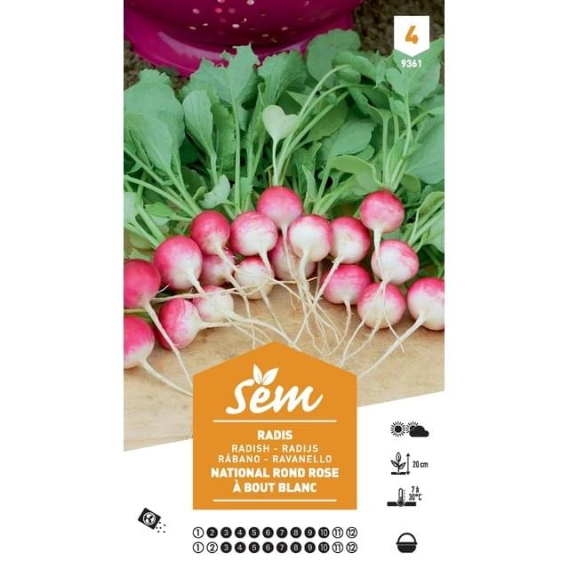 Radis National rond rose et blanc XXL (sachet)