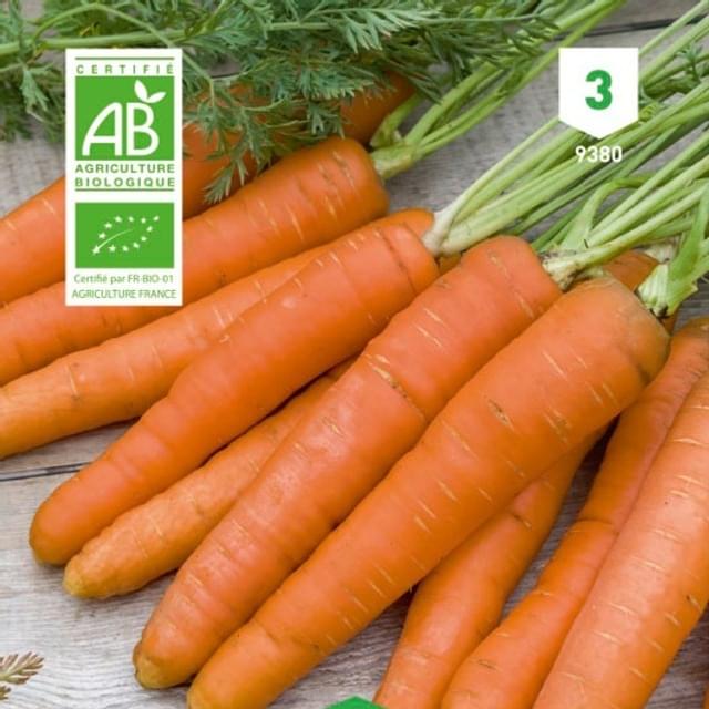 Carotte Nantaise Bio