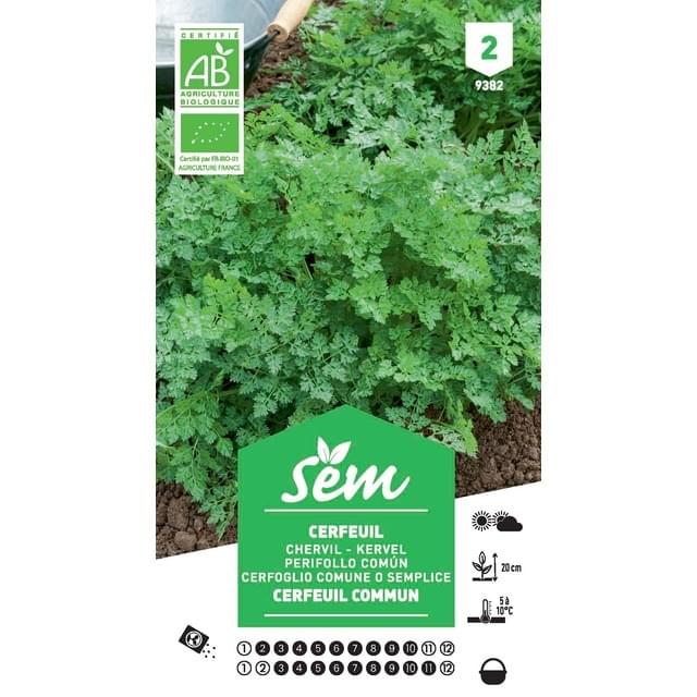 Cerfeuil commun Bio (sachet)