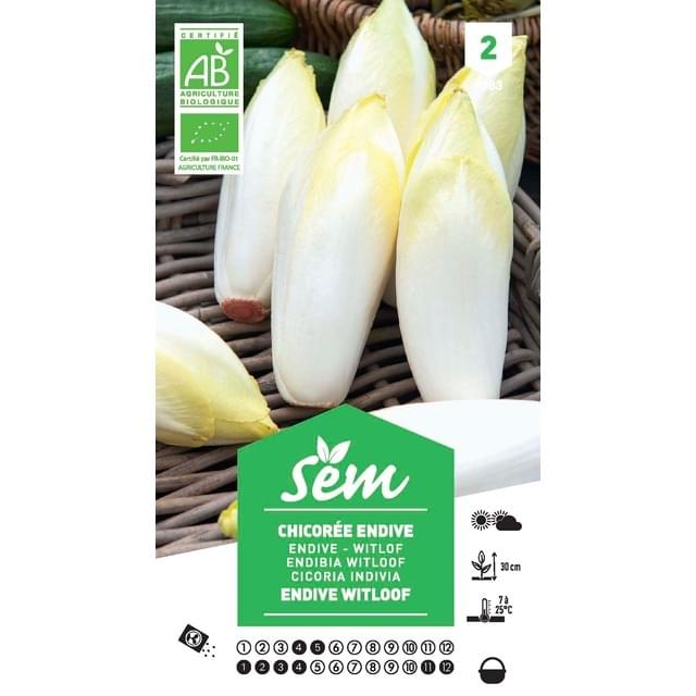 Chicorée endive Witlof Bio (sachet)