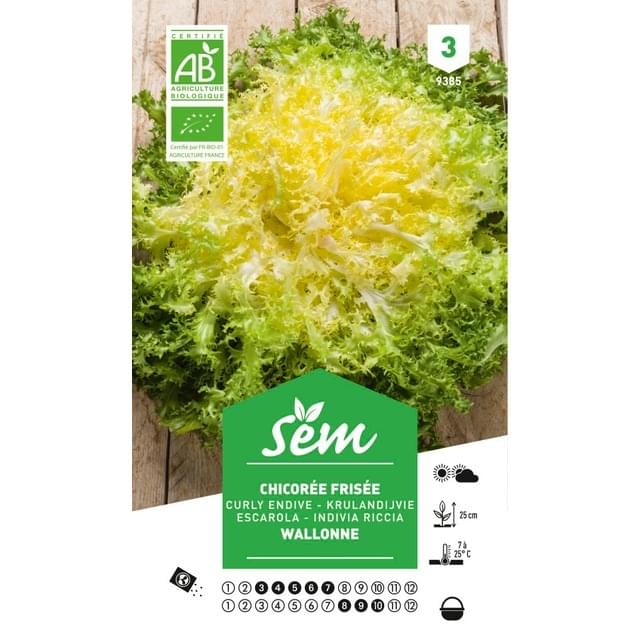 Chicorée frisée Wallonne Bio (sachet)
