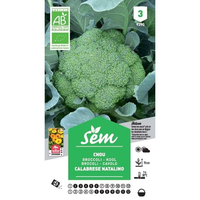 Chou Brocoli Calabrese Natalino Bio (sachet)