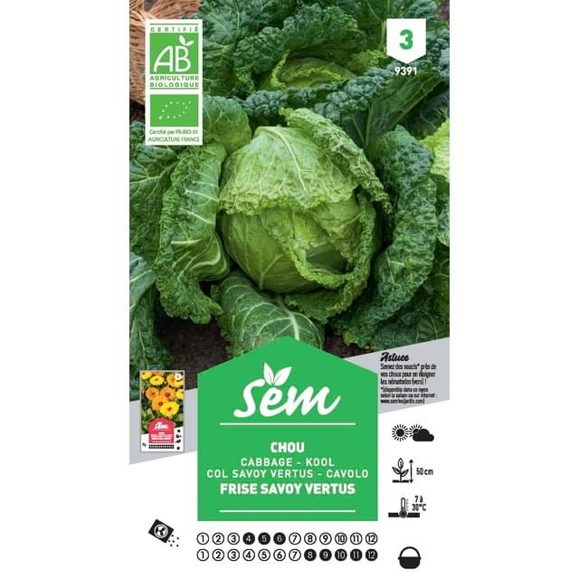 Chou vert frisé Bio (sachet)