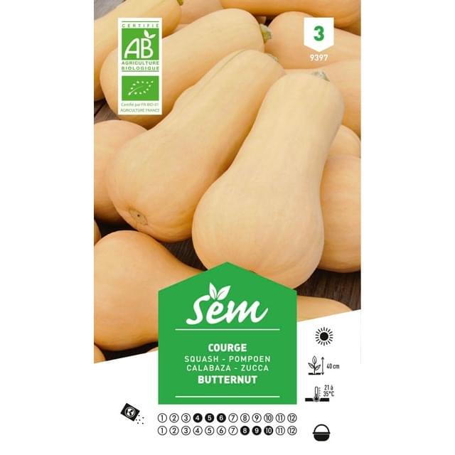 Courge Butternut Bio (sachet)