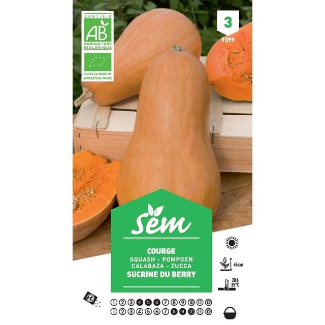 Courge sucrine du Berry Bio (sachet)