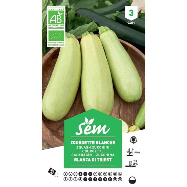 Courgette Blanche de Trieste Bio (sachet)