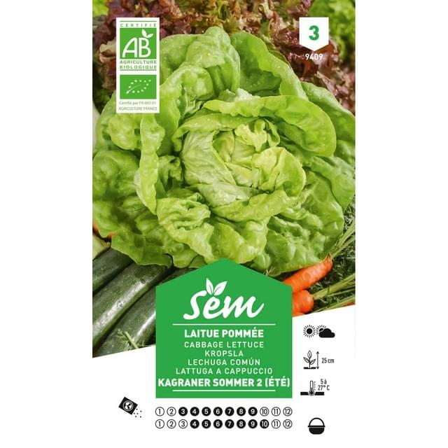 Laitue Kagraner Sommer 2 Bio (sachet)