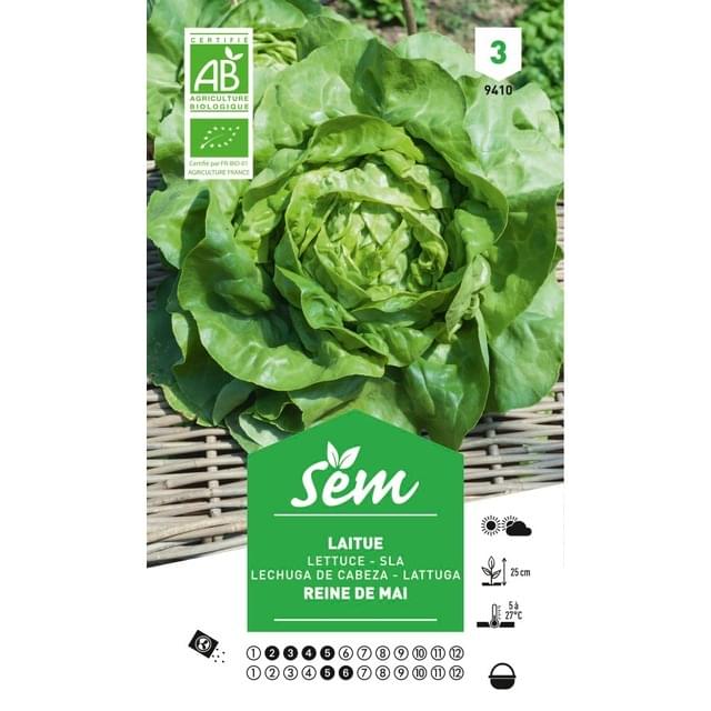 Laitue Reine de Mai Bio (sachet)