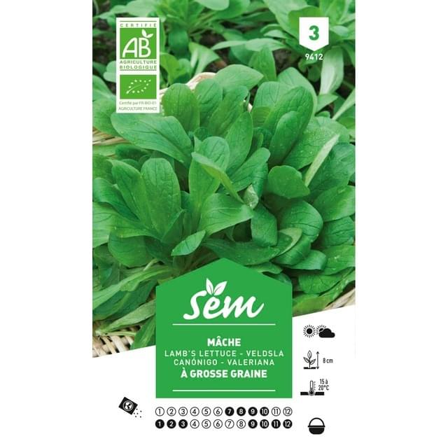 Mâche à grosses graines Bio (sachet)