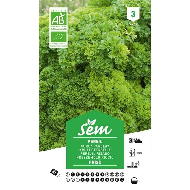 Persil frisé Bio (sachet)