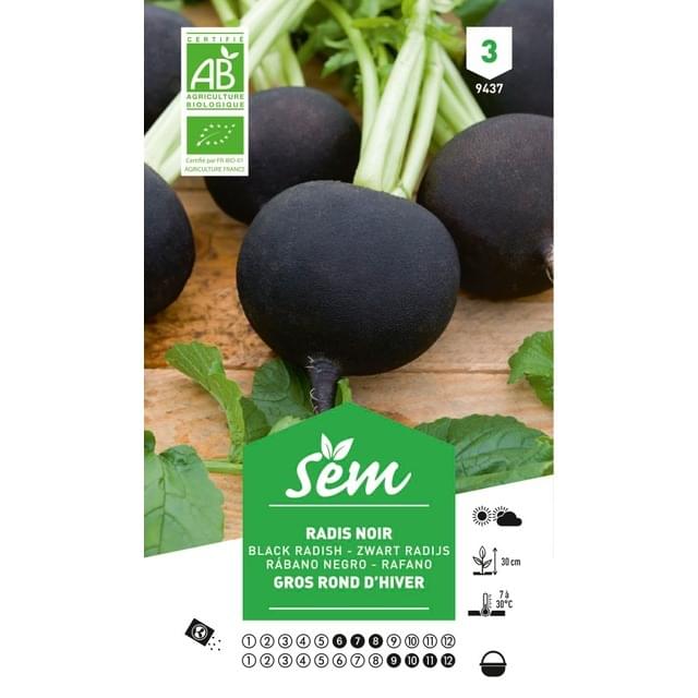 Radis noir gros rond d'hiver Bio (sachet)