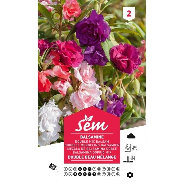 Balsamine double beau mélange (sachet)