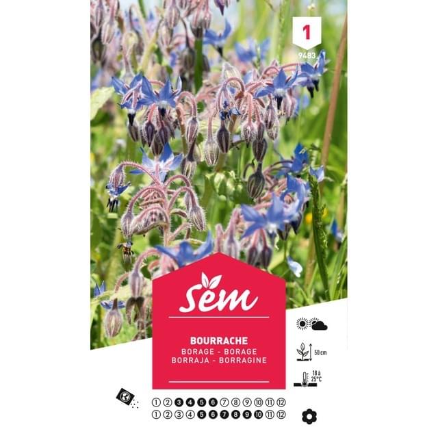 Bourrache officinale (borago officinalis) (sachet)