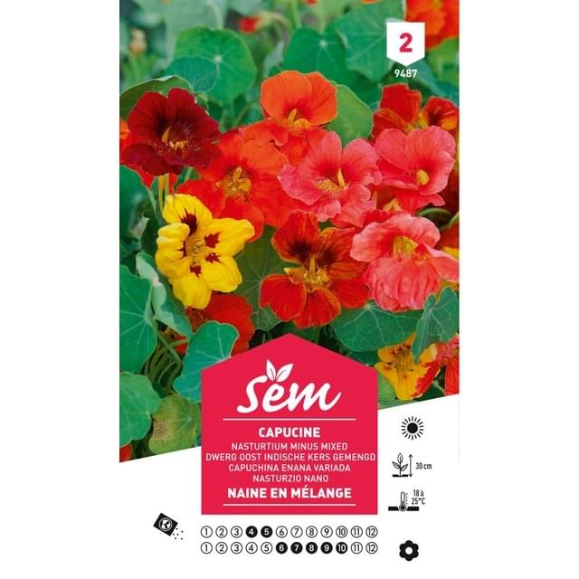 Capucine naine en mélange (sachet)