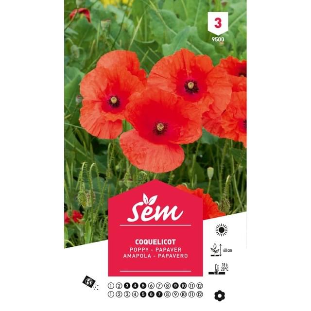 Coquelicot (sachet)