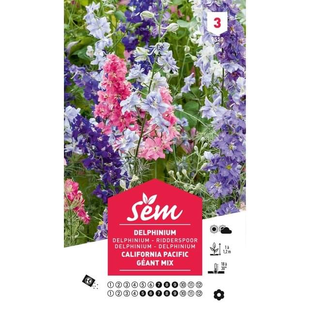 Delphinium de Californie Pacific Géant varié (sachet)