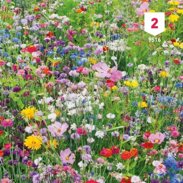 Fleur en mélange pour massifs