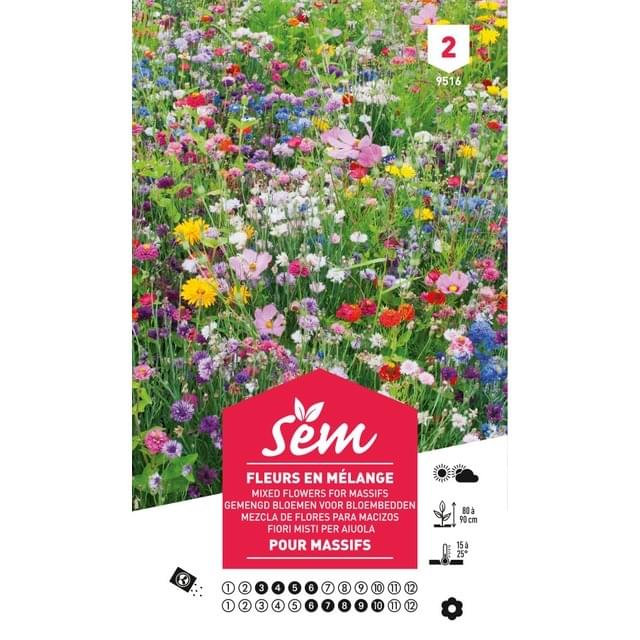Fleur en mélange pour massifs (sachet)