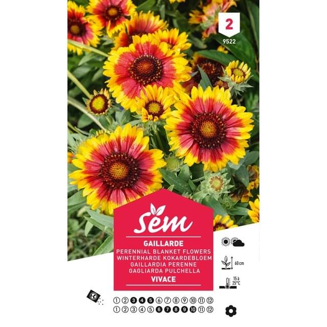 Gaillarde vivace (sachet)