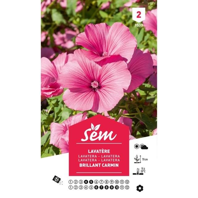 Lavatère Brillant carmin (sachet)