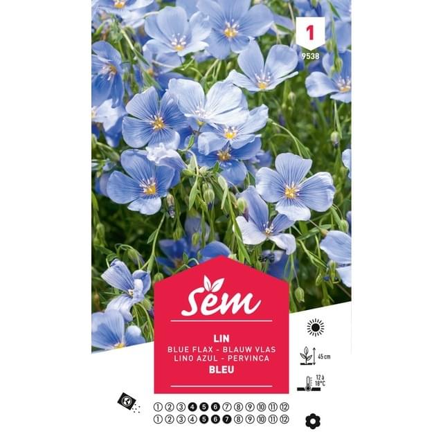 Lin vivace bleu (linum) (sachet)