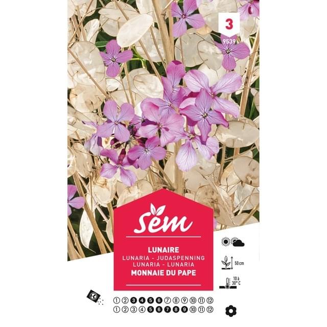 Lunaire (sachet)