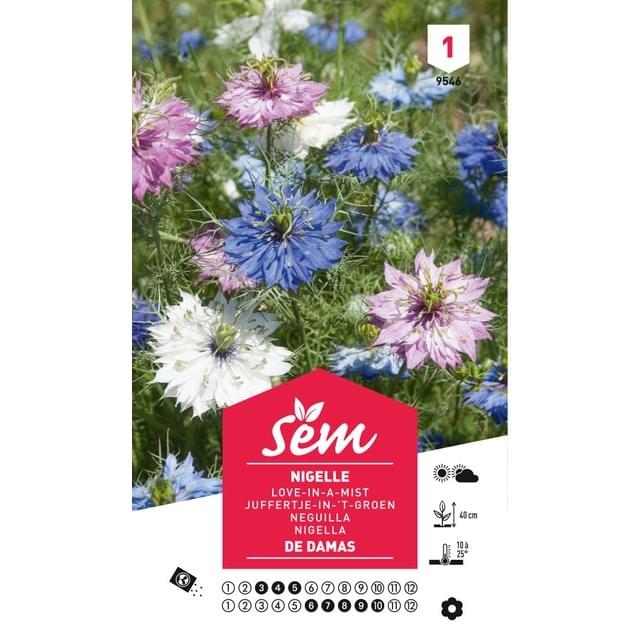 Nigelle de Damas (sachet)
